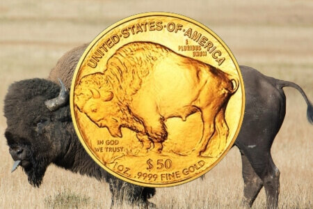 American buffalo | © Correct Gold