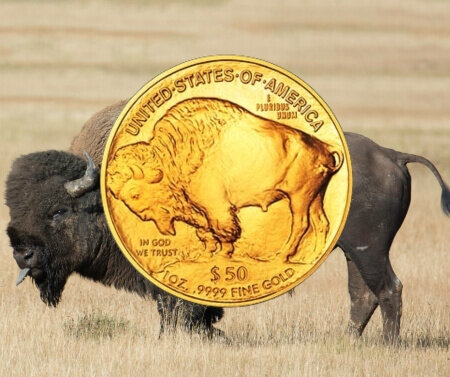 American buffalo | © Correct Gold